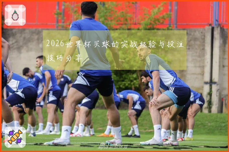 2026世界杯买球的实战经验与投注技巧分享