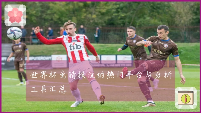 世界杯竞猜投注的热门平台与分析工具汇总