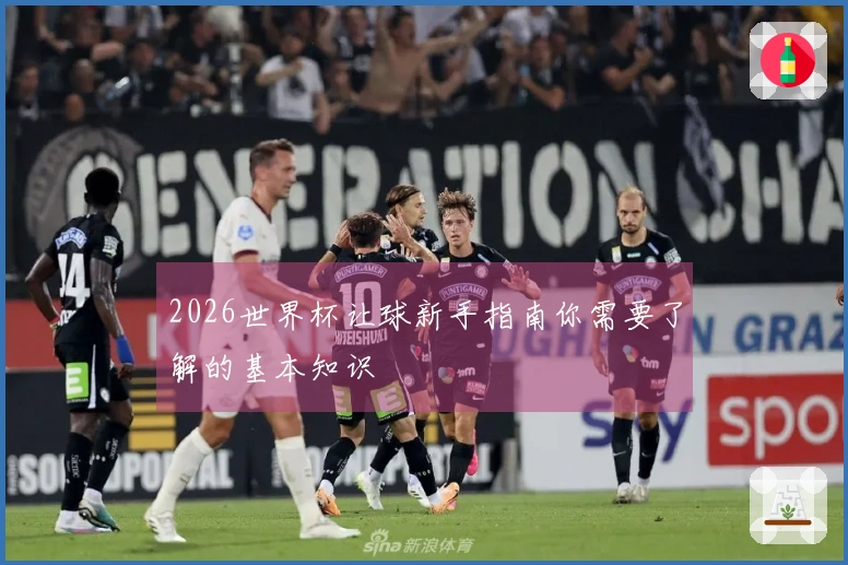 2026世界杯让球新手指南你需要了解的基本知识
