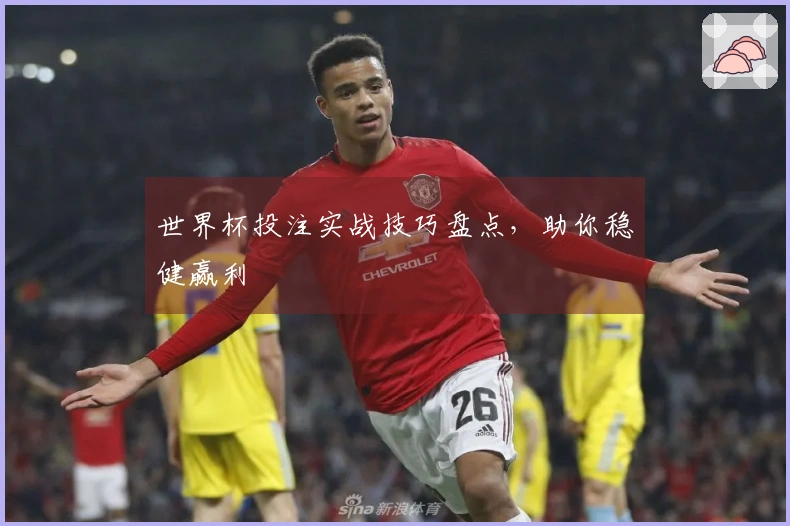 世界杯投注实战技巧盘点，助你稳健赢利