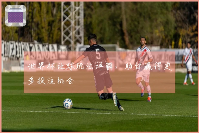世界杯让球玩法详解，助你赢得更多投注机会