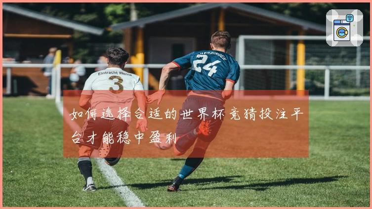 如何选择合适的世界杯竞猜投注平台才能稳中盈利