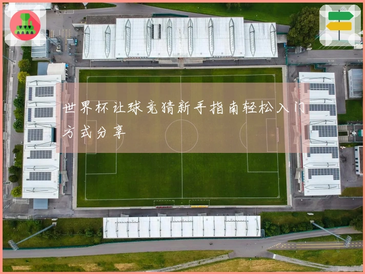 世界杯让球竞猜新手指南轻松入门方式分享
