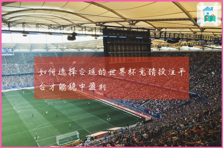 如何选择合适的世界杯竞猜投注平台才能稳中盈利